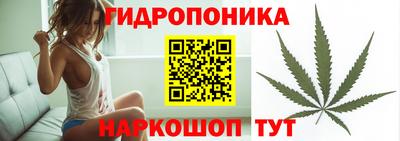 прущий лед Боровичи
