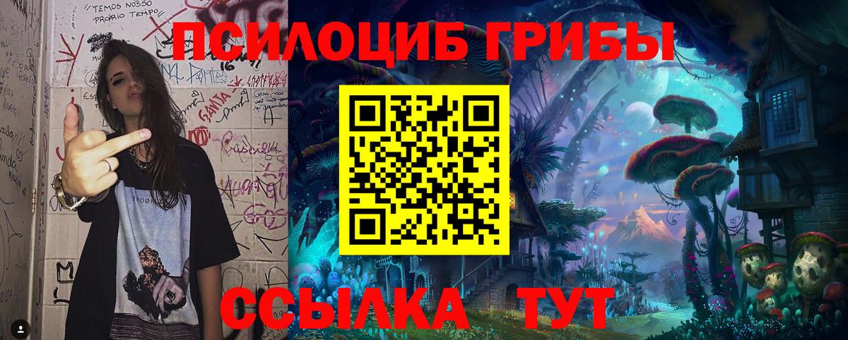 Псилоцибиновые грибы мухоморы Советск