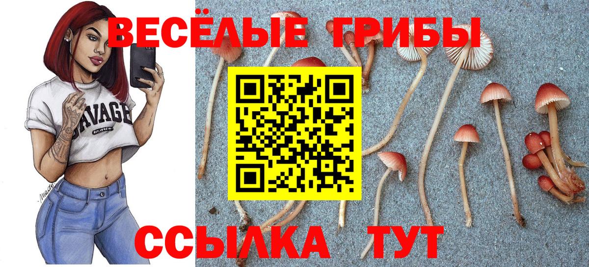 Галлюциногенные грибы мухоморы  Вход с VPN  Советск 